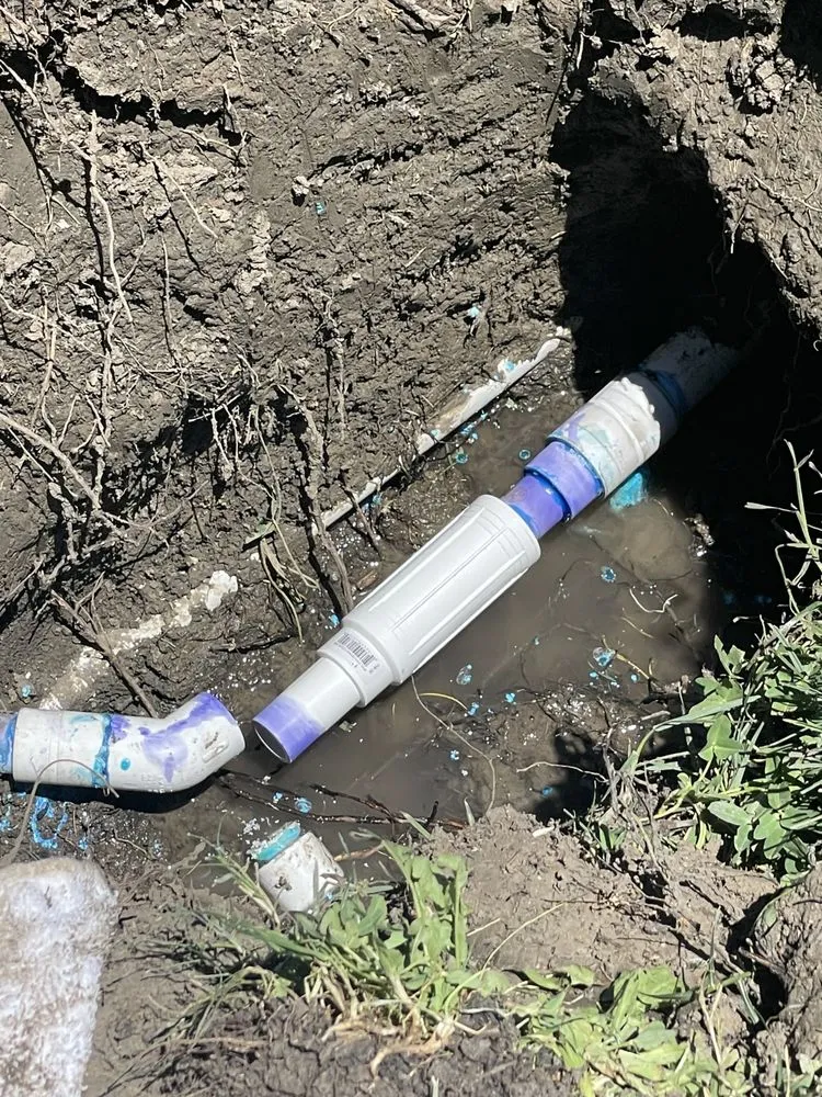 Affordable residential landscaping experts serving Bay Point, CA - East Bay Gardening