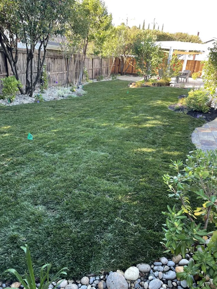 Top-rated residential landscaping in Bay Point, CA - East Bay Gardening