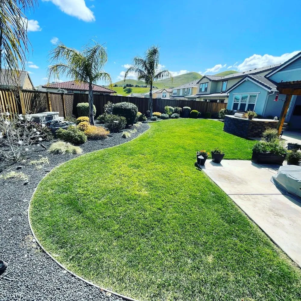 Trusted landscaping services in Bay Point, CA - East Bay Gardening