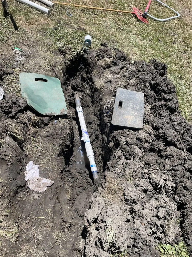 Top-rated lawn care service experts serving Bay Point, CA - East Bay Gardening