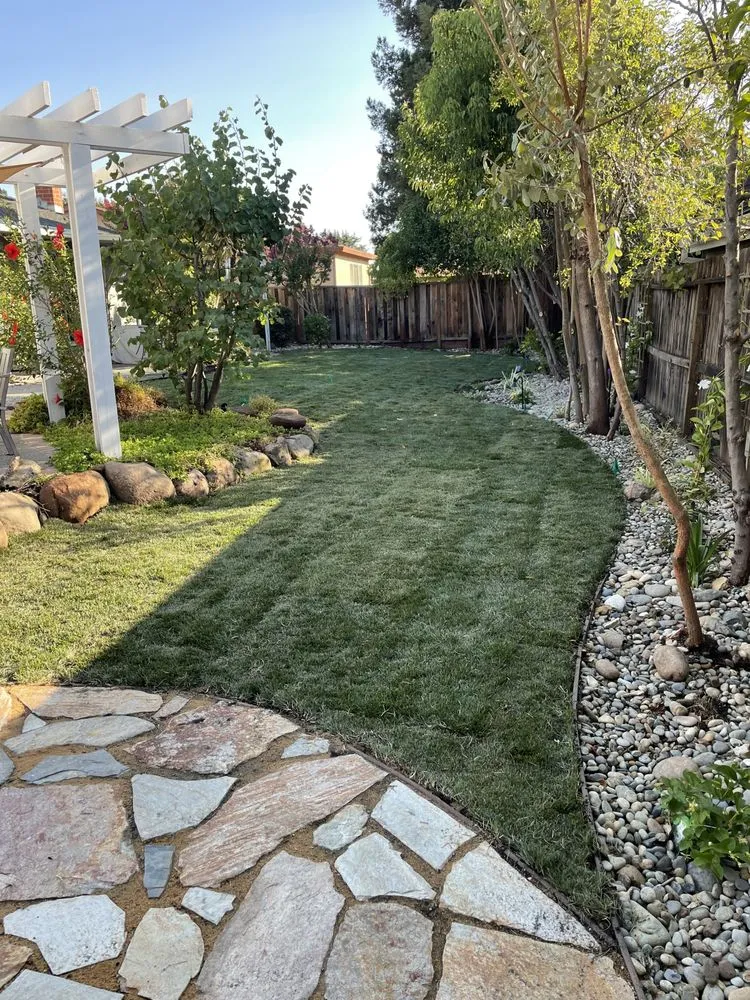 Affordable landscaping services for outdoor upgrades across Bay Point, CA - East Bay Gardening