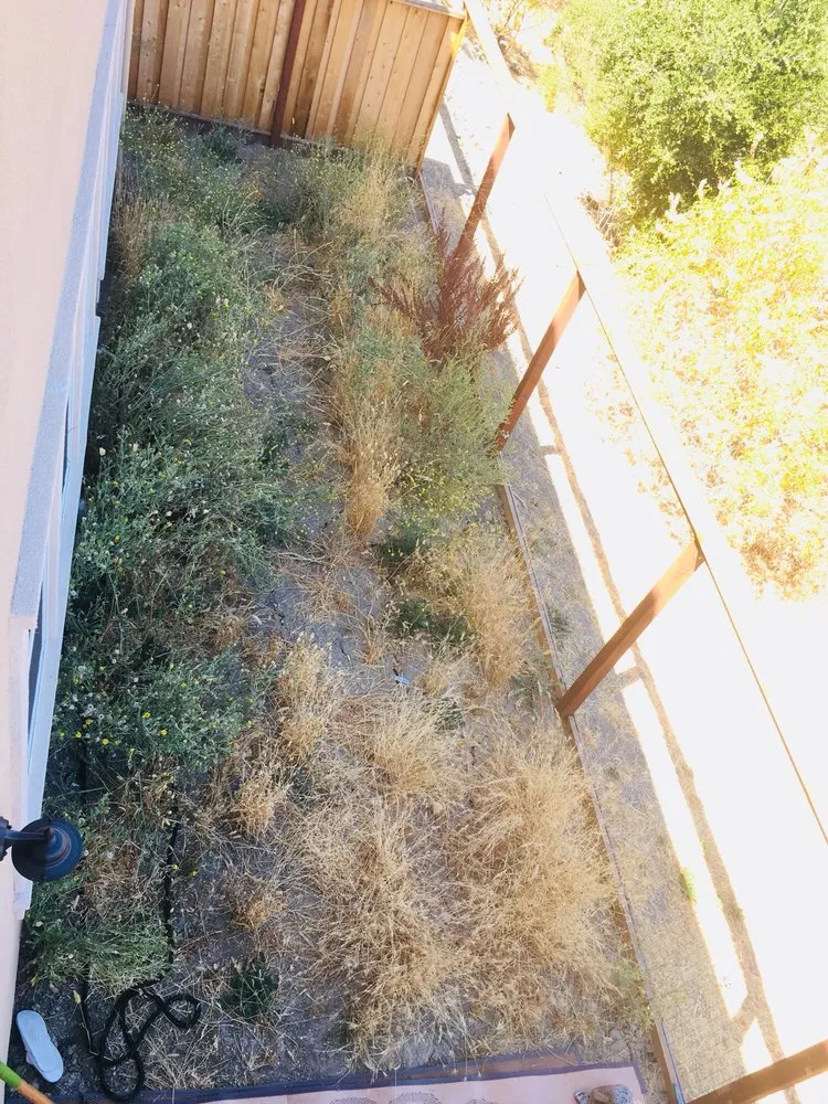 Trusted landscape design near you across Danville, CA - East Bay Landscape