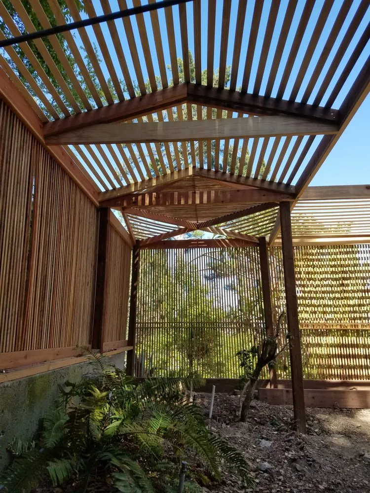 Local yard cleanup service in Danville, CA by East Bay Landscape