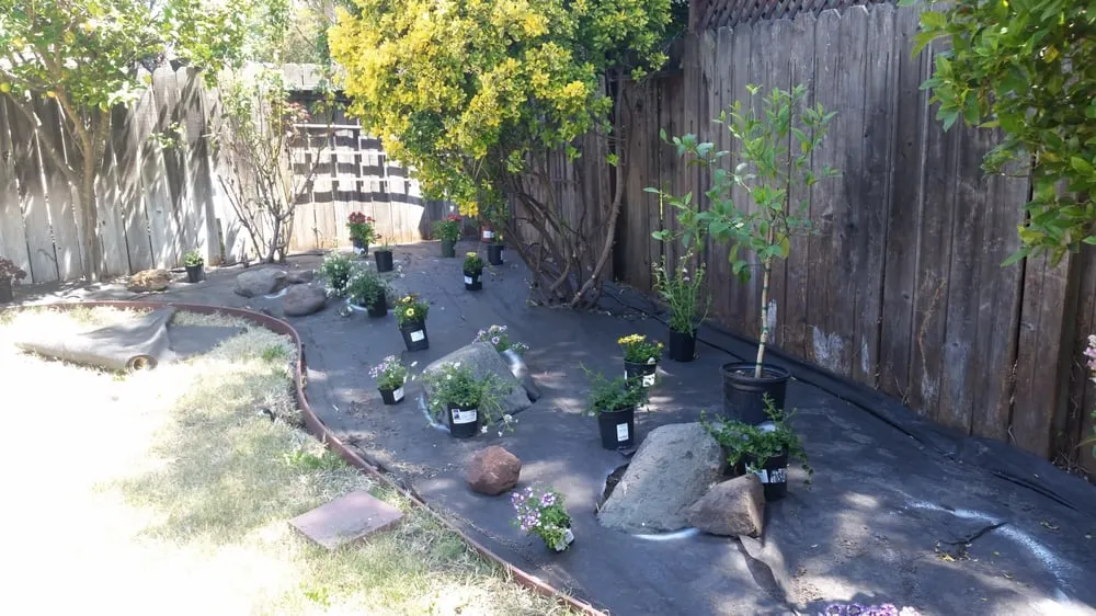 Custom landscape installation near you across Hayward, CA - East bay landscapes and design services