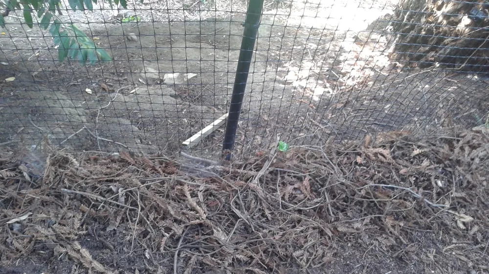 Top-rated landscape design in Martinez, CA - East Bay Lawn Pros