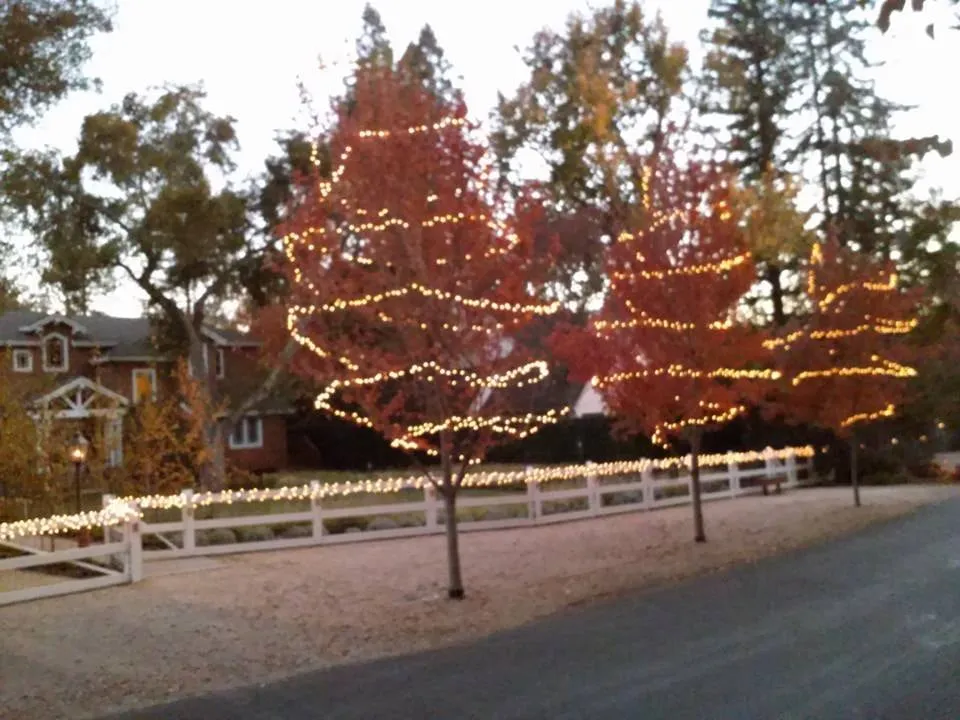 Local landscape design in Martinez, CA - East Bay Lawn Pros