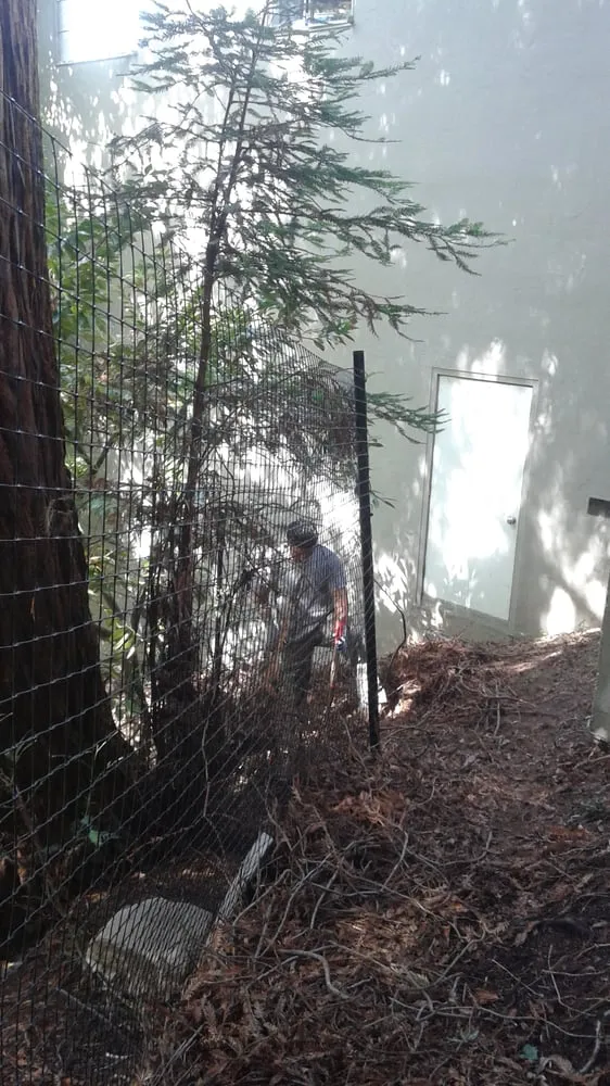 Top-rated outdoor landscaping with custom design across Martinez, CA - East Bay Lawn Pros