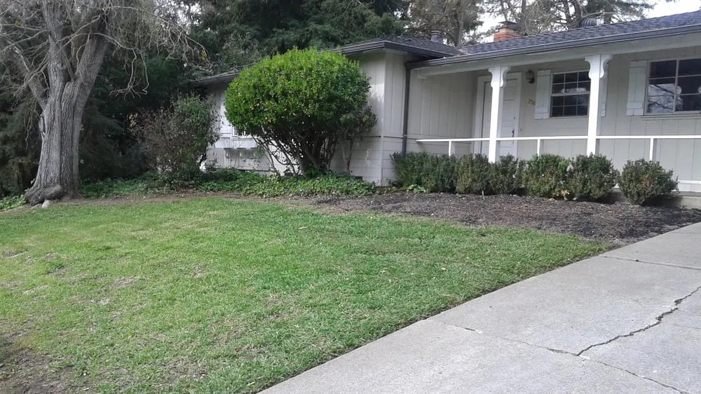 Reliable landscaping services for beautiful yards in Martinez, CA by East Bay Lawn Pros