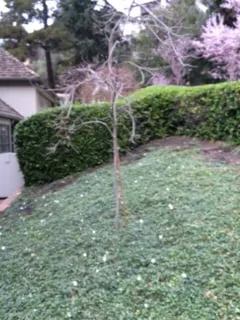 Top-rated landscape installation in Martinez, CA - East Bay Lawn Pros