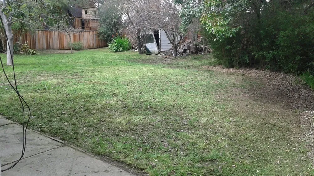 Reliable landscaping services in Martinez, CA by East Bay Lawn Pros