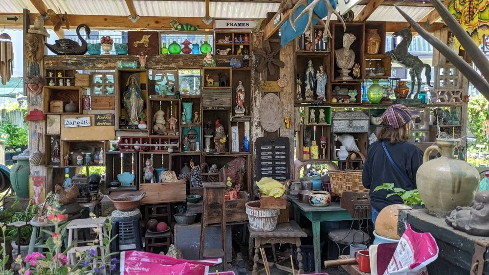 Reliable outdoor landscaping in Oakland, CA - east bay wilds