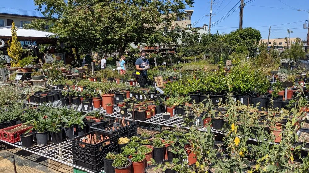 Custom garden landscaping in Oakland, CA - east bay wilds