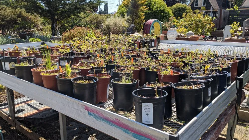 Trusted residential landscaping in Oakland, CA by east bay wilds