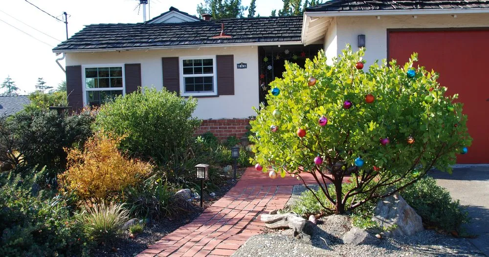 Trusted outdoor landscaping in Oakland, CA - east bay wilds