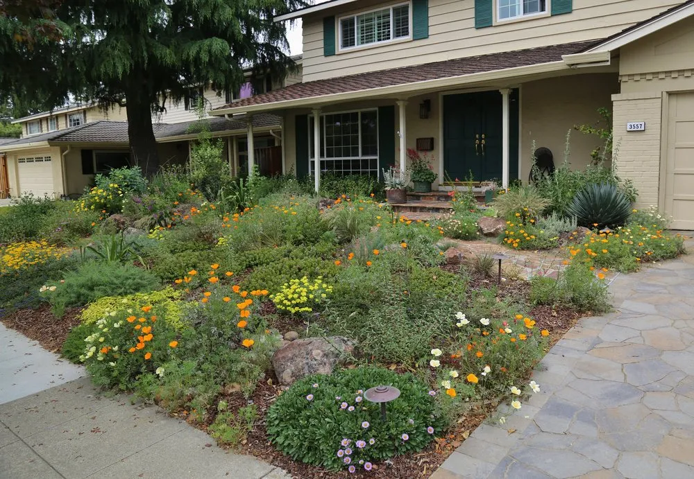 Trusted residential landscaping for homes across Oakland, CA - east bay wilds
