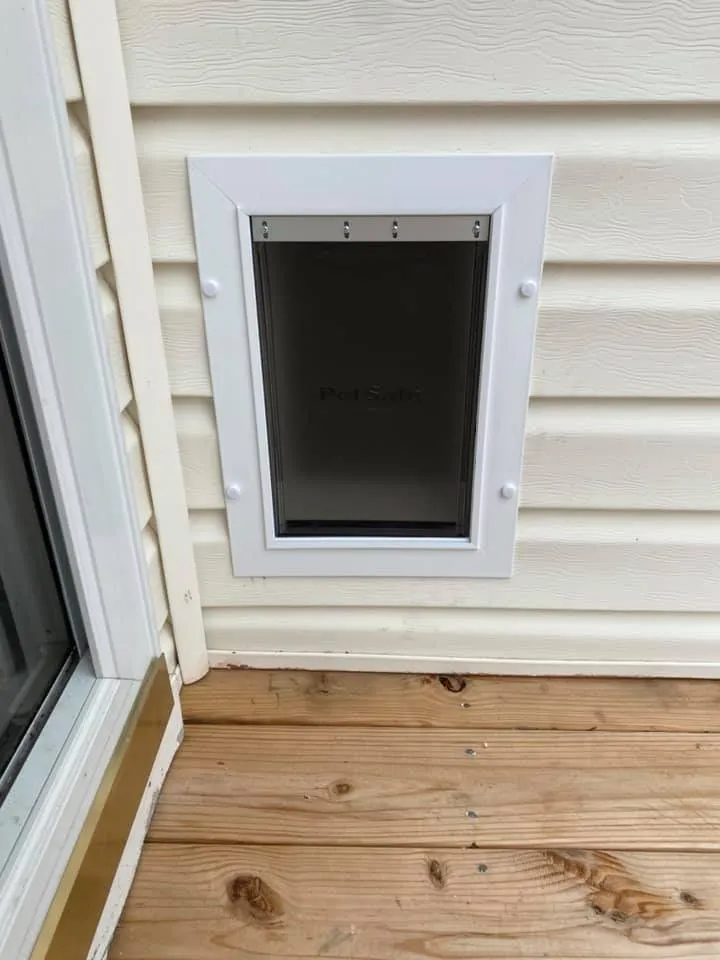 Expert yard cleanup service in New Bern, NC - East Carolina Handyman Services