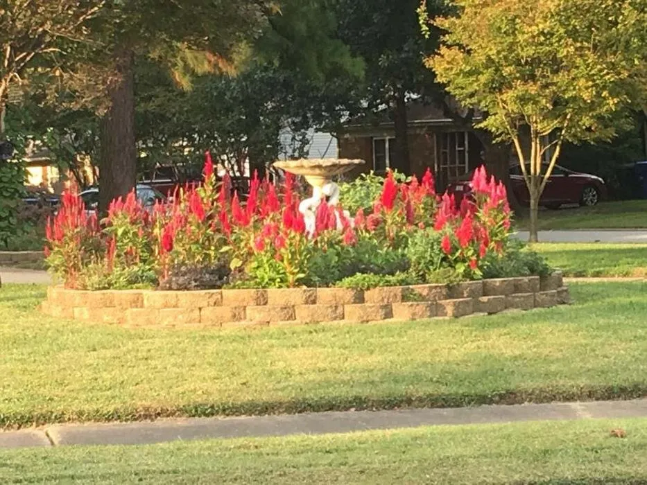 Custom yard cleanup service with custom design in Virginia Beach, VA by East Coast Drainage & Landscaping