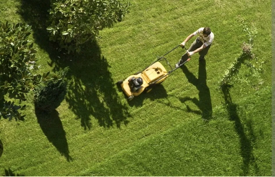 Professional garden landscaping experts serving Barnegat, NJ - East Coast Home Care