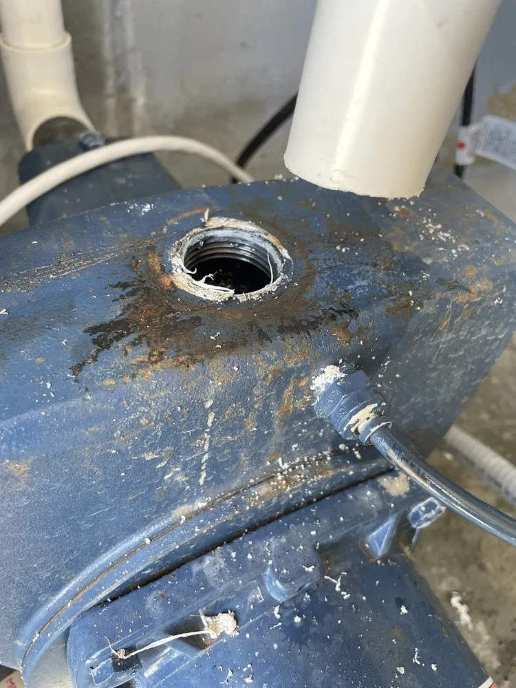 Local landscape installation experts serving Cocoa, FL - East Coast Irrigation & Landscape