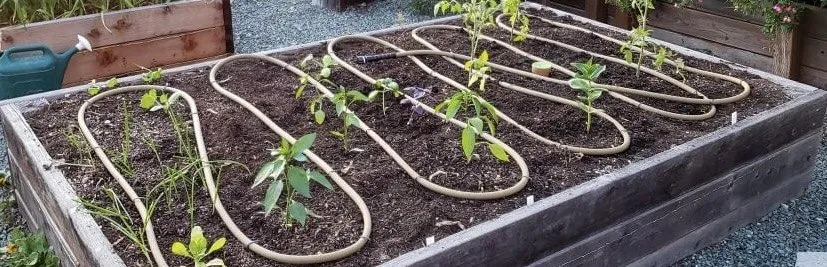 Custom landscape design in Hopkinton, MA by East Coast Irrigation & Lighting