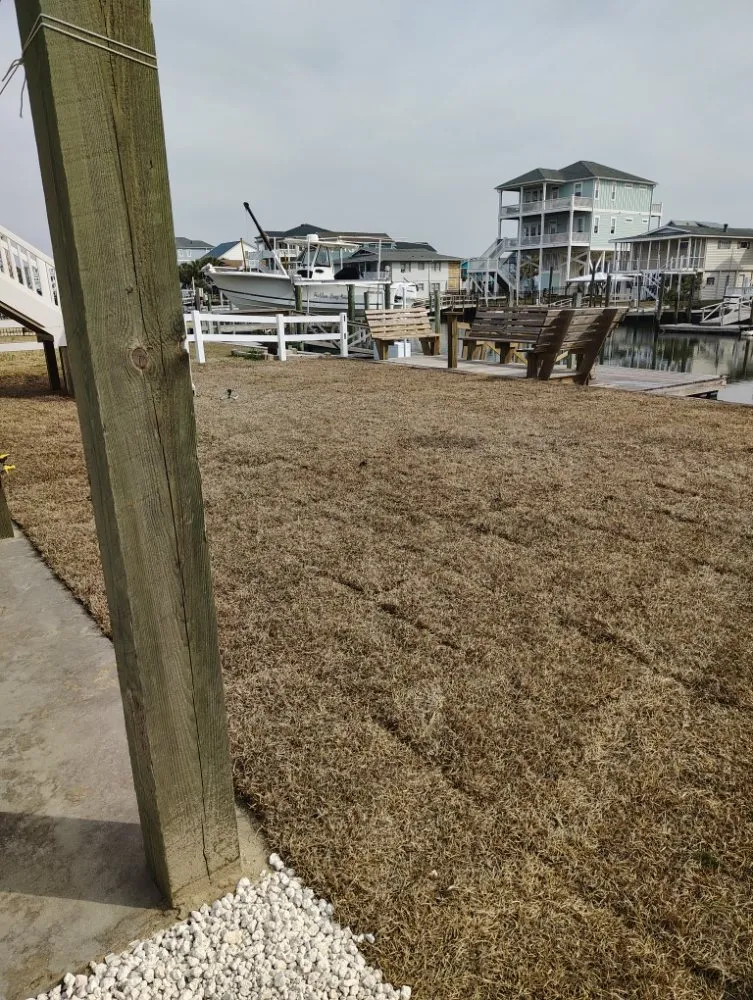 Custom yard cleanup service in Atkinson, NC by East Coast Landscapes and Concrete