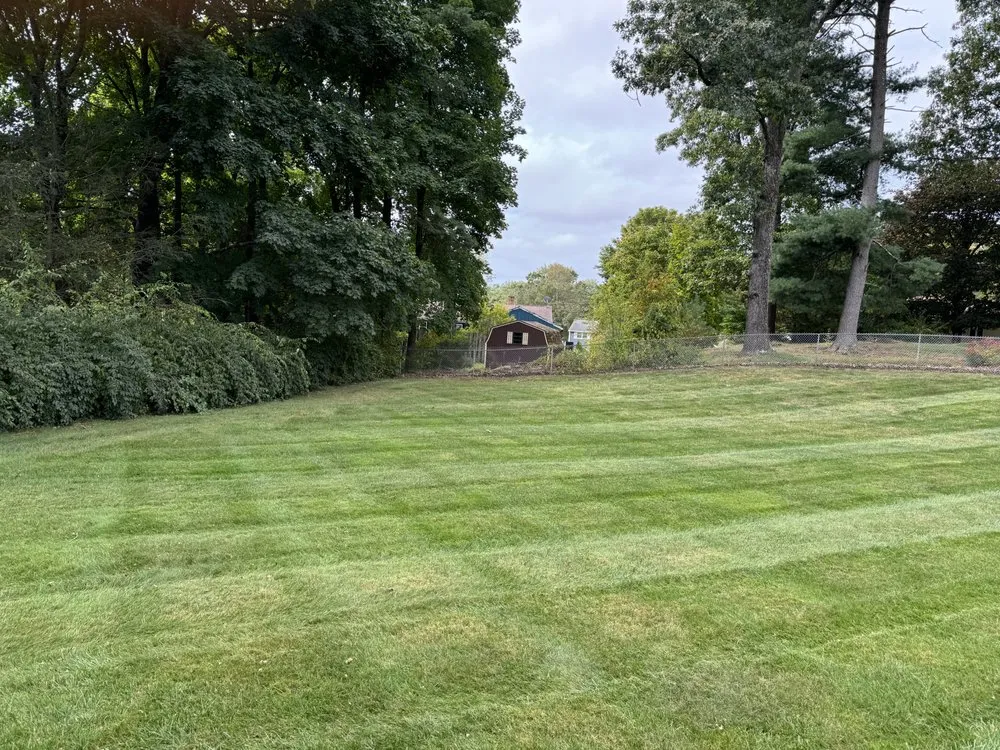 Affordable yard cleanup service in East Windsor, CT by East Coast Landscapes