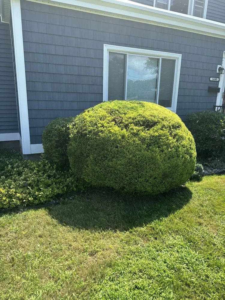 Custom landscape installation experts serving East Windsor, CT - East Coast Landscapes