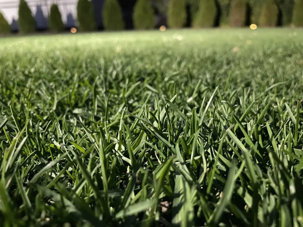 Trusted garden landscaping in Eatontown, NJ - East Coast Landscaping & Lawn Care