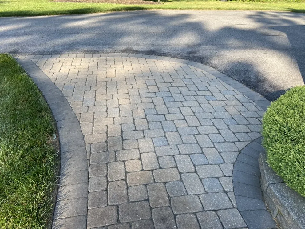 Reliable yard maintenance for year-round maintenance across Millsboro, DE - East Coast Landscaping