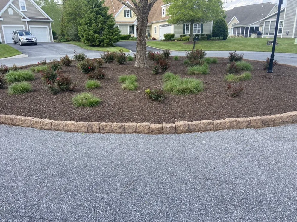 Custom yard cleanup service near you across Millsboro, DE - East Coast Landscaping