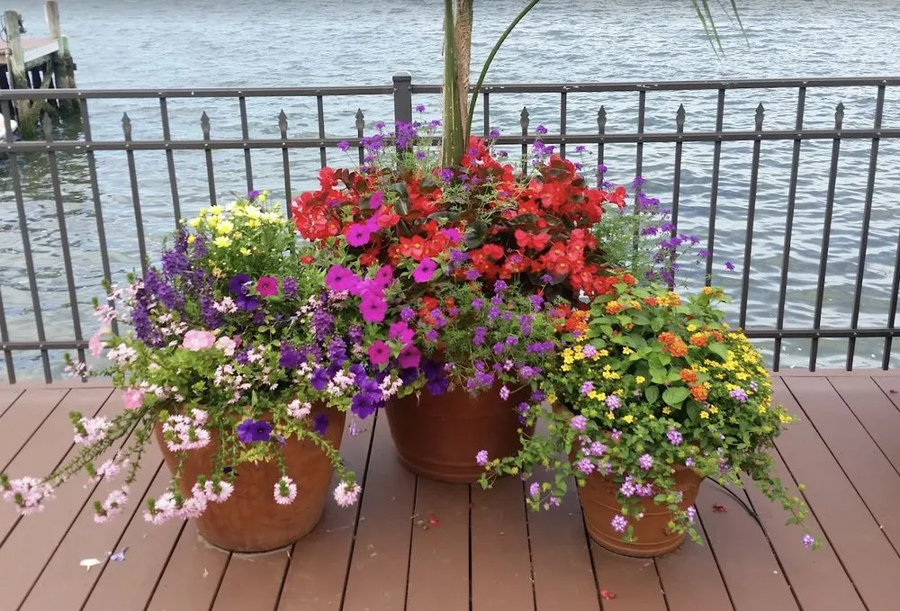 Professional residential landscaping experts serving Somers Point, NJ - East Coast Landscaping