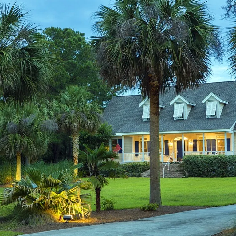 Custom landscaping services for year-round maintenance in New Smyrna Beach, FL by East Coast Lawn and Landscaping