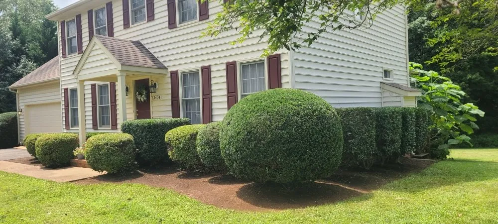 Professional landscape installation with custom design in Fredericksburg, VA by East Coast Lawn Care