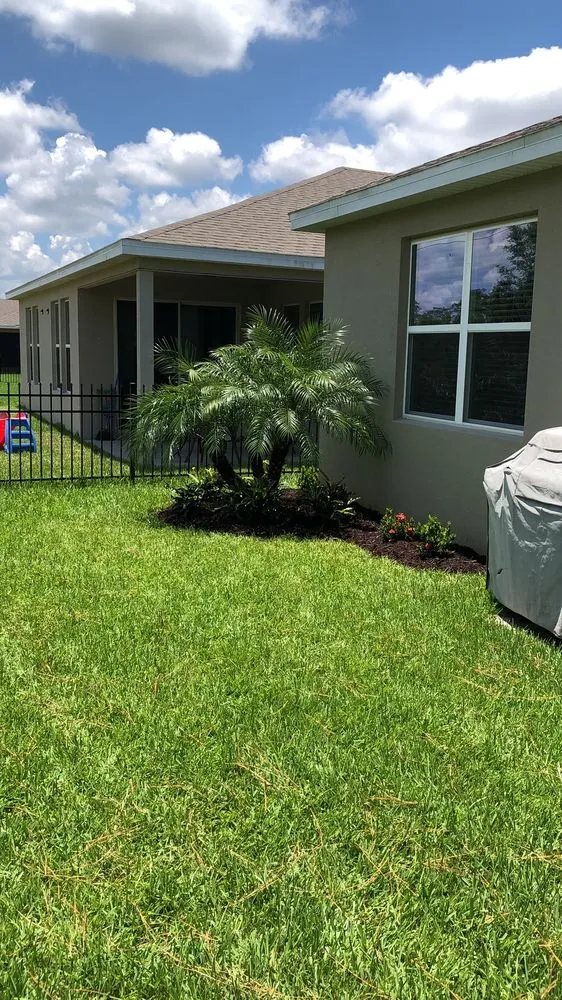 Reliable landscape design for year-round maintenance across PT ORANGE, FL - East Coast Oasis Landscape and Design
