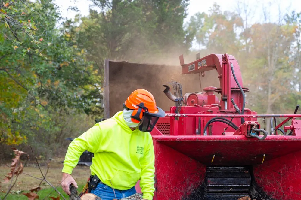 Affordable yard cleanup service near you in Joppa, MD by East Coast Property Services