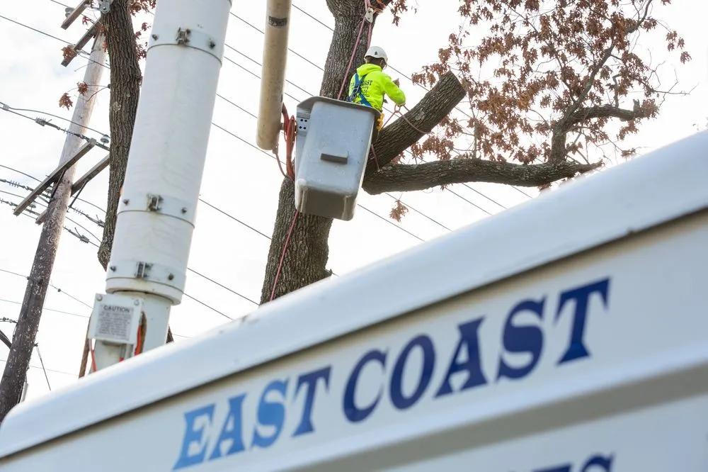 Local outdoor landscaping experts serving Joppa, MD - East Coast Property Services