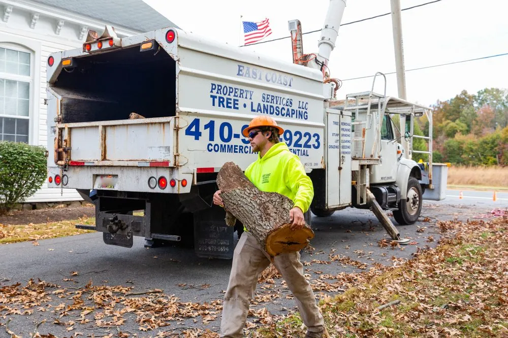 Top-rated yard cleanup service in Joppa, MD by East Coast Property Services