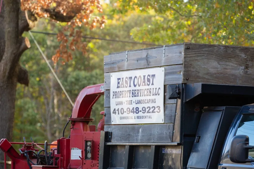 Trusted yard cleanup service in Joppa, MD by East Coast Property Services
