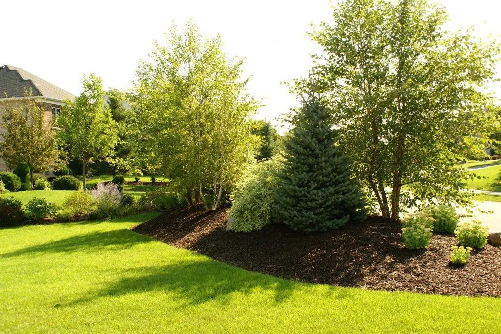 Local residential landscaping experts serving Wilmington, NC - East Coast Services