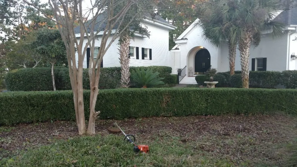 Professional residential landscaping in Wilmington, NC by East Coast Services