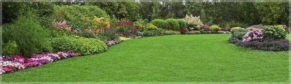 East Coast Services Logo