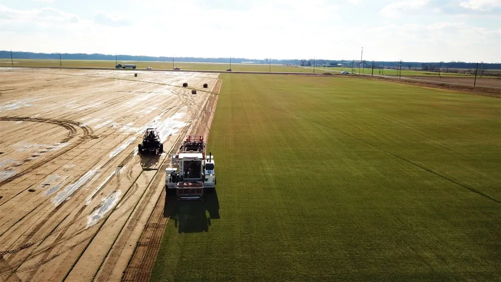 Affordable lawn care service experts serving Pilesgrove, NJ - East Coast Sod & Seed