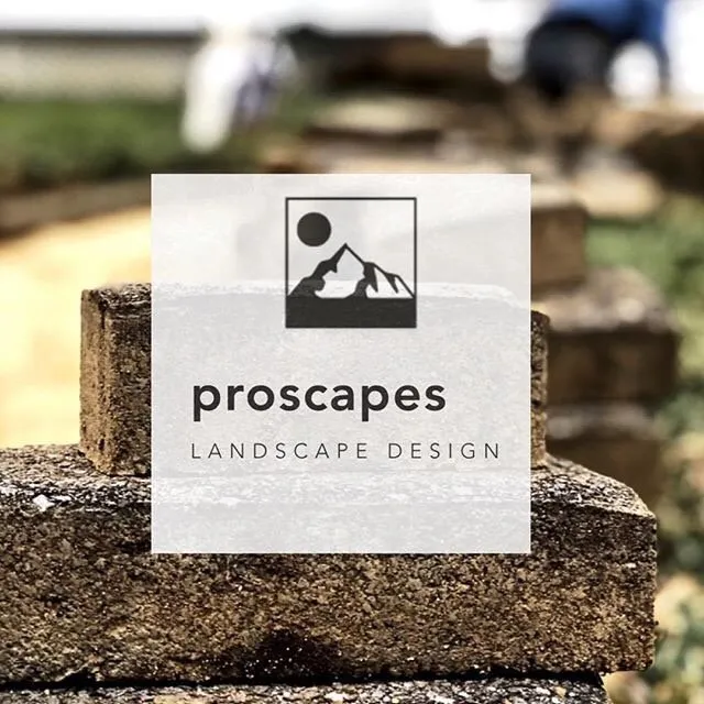 Custom landscaping services for outdoor upgrades in Falls Church, VA by East Coast Stone Scapes
