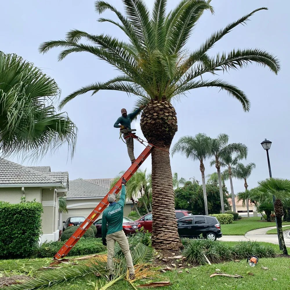 Affordable landscape installation in Palm Bay, FL - East Coast Tree Professionals