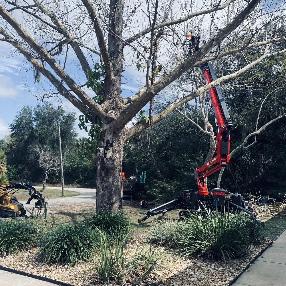 Reliable outdoor landscaping experts serving Palm Bay, FL - East Coast Tree Professionals