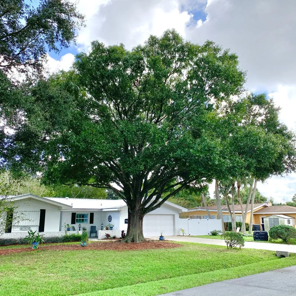 Trusted outdoor landscaping for homes in Palm Bay, FL by East Coast Tree Professionals