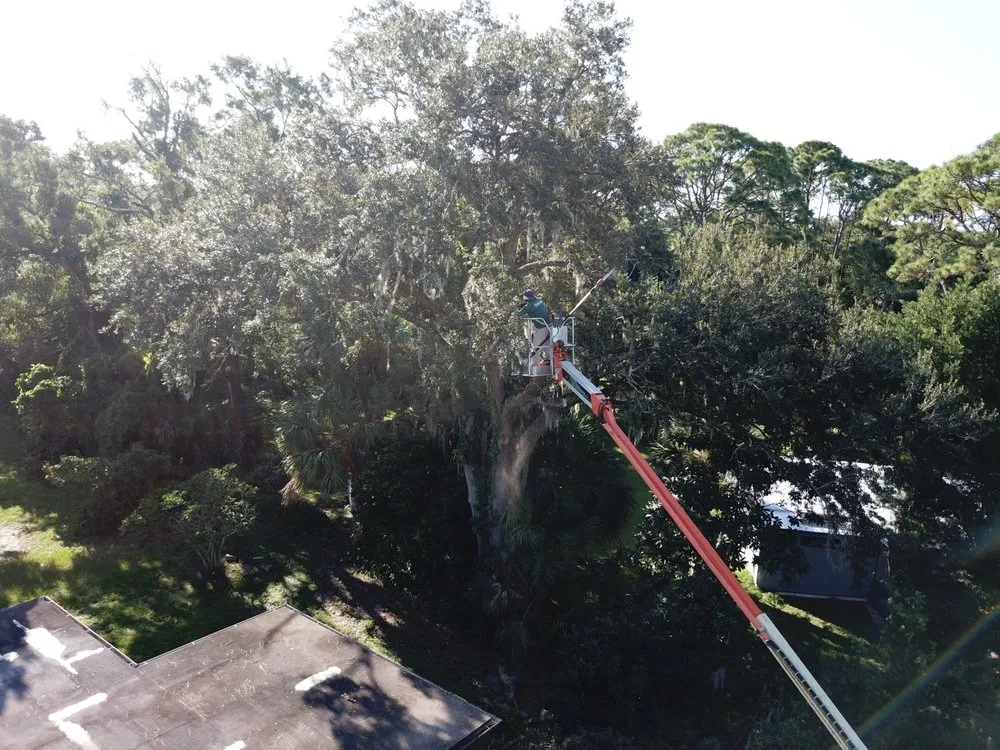 Professional lawn care service for residential properties in Palm Bay, FL by East Coast Tree Professionals