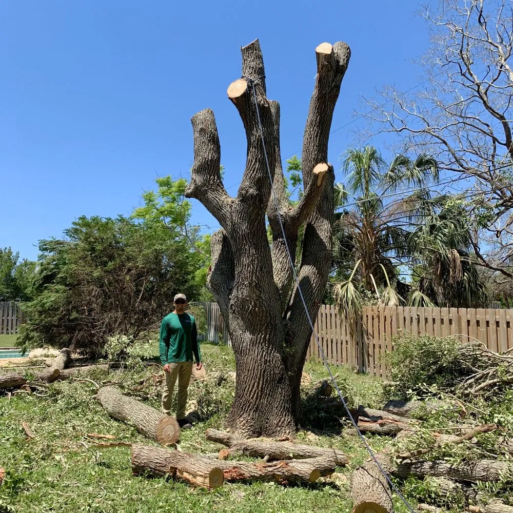 Affordable outdoor landscaping for outdoor upgrades across Palm Bay, FL - East Coast Tree Professionals