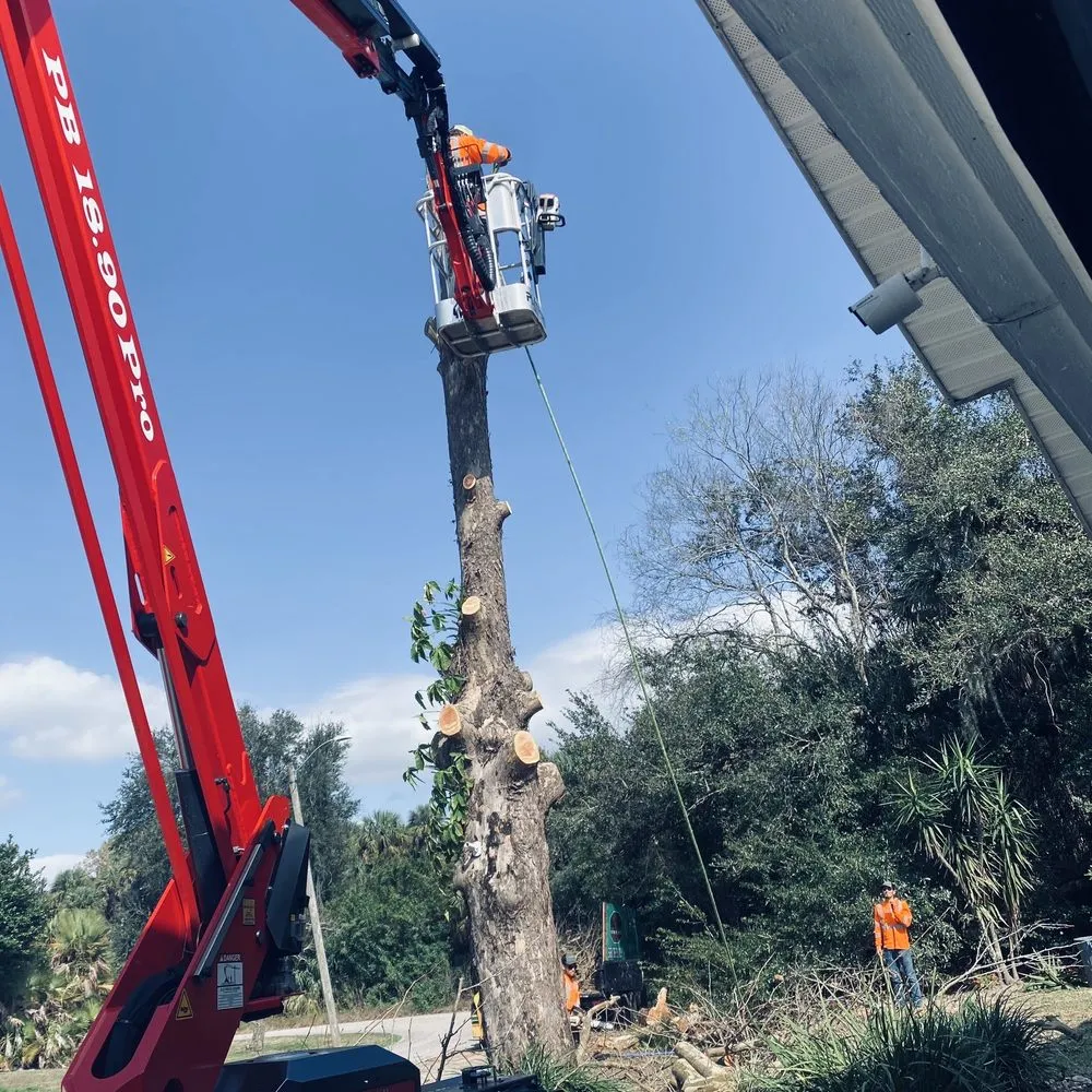 Custom landscape design for residential properties in Palm Bay, FL by East Coast Tree Professionals