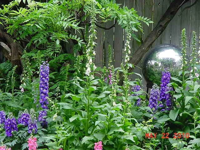 Reliable residential landscaping in Pittsburgh, PA - East End Landscaping